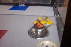 captured 2005-08-06 00258