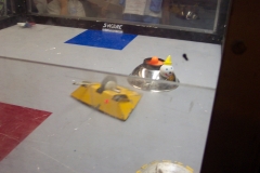 captured 2005-08-06 00259