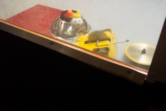 captured 2005-08-06 00262