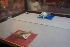 captured 2005-08-06 00303