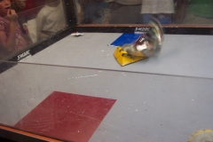 captured 2005-08-06 00317