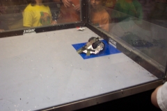 183